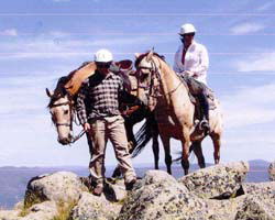 High Country Horses - Accommodation Whitsundays 3