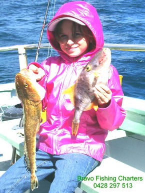 Bravo Fishing Charters - Accommodation Whitsundays 5