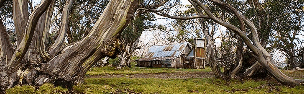 High Country Scenic Tours - Accommodation Whitsundays