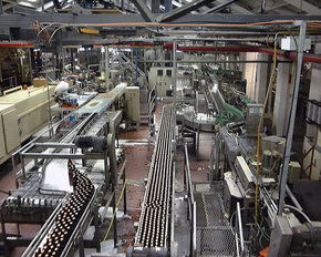 Cascade Brewery Tour - Accommodation Whitsundays 2