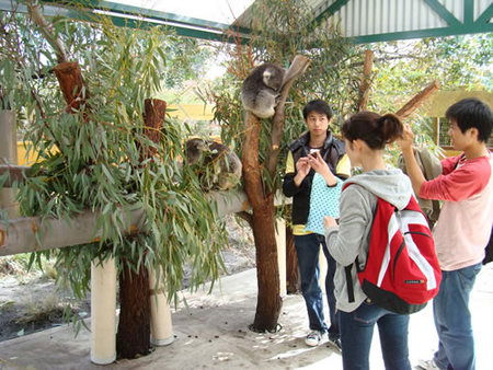 Caversham Wildlife Park - Accommodation Whitsundays 4