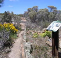 Christmas Rock Walk - Accommodation Whitsundays