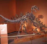 Denmark Dinosaur World - Accommodation Whitsundays