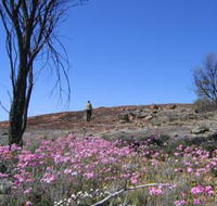 Talgomine Reserve - Accommodation Whitsundays