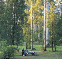 Big Brook Arboretum - Accommodation Whitsundays