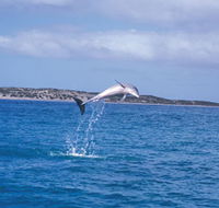 Steep Point - Accommodation Whitsundays