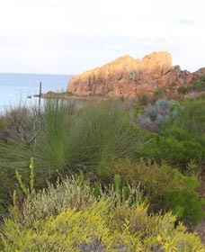 Meelup Trail - Accommodation Whitsundays 0