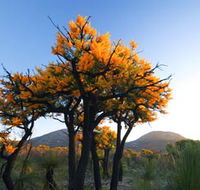 Cape Le Grand National Park - Accommodation Whitsundays