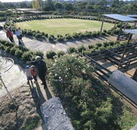 Kojonup Rose Maze - Accommodation Whitsundays