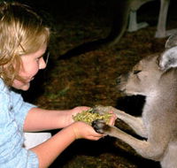 Discovery Bay's Walk on the Wild Side - Accommodation Whitsundays