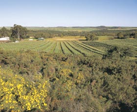 Chapman Valley Scenic Drive - Accommodation Whitsundays 0