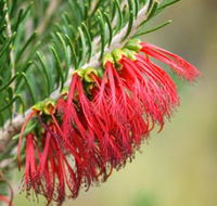 Ethel Daw Scenic Drive - Accommodation Whitsundays