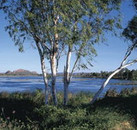 Celebrity Tree Park - Accommodation Whitsundays