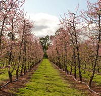 Raeburn Orchards - Accommodation Whitsundays