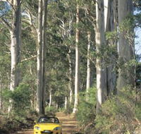 Mount Shadforth Scenic Drive - Accommodation Whitsundays