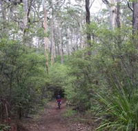 Margaret River Rails Trail - Accommodation Whitsundays