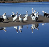 Peel Region Canoe Trails - Accommodation Whitsundays