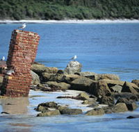 Whalers Beach - Accommodation Whitsundays