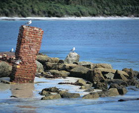 Whalers Beach - Accommodation Whitsundays 0