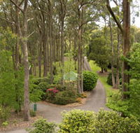 Mount Lofty Botanic Garden - Accommodation Whitsundays