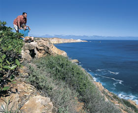Dampier Salt Mines - Accommodation Whitsundays 0