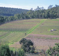 Darling Range - Accommodation Whitsundays