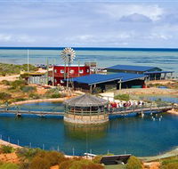Ocean Park Aquarium - Accommodation Whitsundays