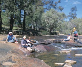 John Forrest National Park - Accommodation Whitsundays 0