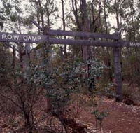 Marrinup Trail Dwellingup - Accommodation Whitsundays