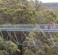 Walpole Wilderness Discovery Centre - Accommodation Whitsundays