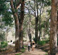 Law Trail and Lotterywest Federation Walkway Kings Park - Accommodation Whitsundays