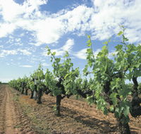 Blackwood Meadery - Accommodation Whitsundays