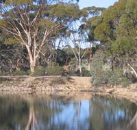 Merredin Railway Dam - Accommodation Whitsundays