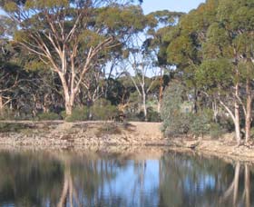 Merredin Railway Dam - Accommodation Whitsundays 0