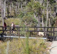 Forest Path Crooked Brook - Accommodation Whitsundays