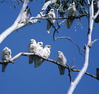Carawine Gorge - Accommodation Whitsundays