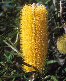 Accommodation Whitsundays