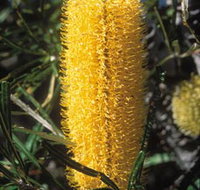 Moore River National Park - Accommodation Whitsundays