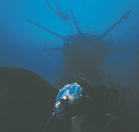 Swan Dive Wreck - Accommodation Whitsundays