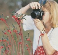 Gingin Cemetery - Accommodation Whitsundays