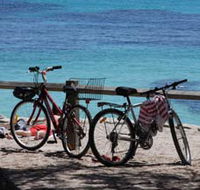 Parker Point Marine Snorkel Trail - Accommodation Whitsundays