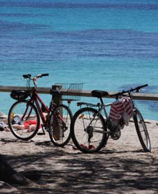 Parker Point Marine Snorkel Trail - Accommodation Whitsundays 0