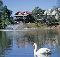 White Swans - Accommodation Whitsundays