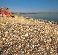 Shell Beach - Accommodation Whitsundays