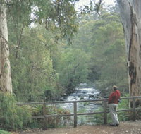 Cascades - Accommodation Whitsundays