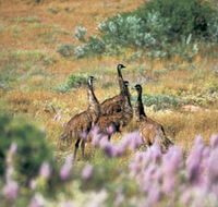 Jurabi Coastal Reserve - Accommodation Whitsundays