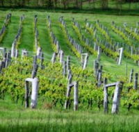 Sienna Estate Winery - Accommodation Whitsundays