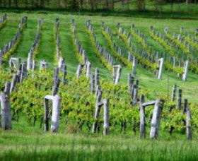 Sienna Estate Winery - Accommodation Whitsundays 0