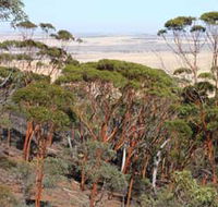 Mount Matilda Walk Trail Wongan Hills - Accommodation Whitsundays