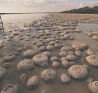 Yalgorup National Park - Accommodation Whitsundays